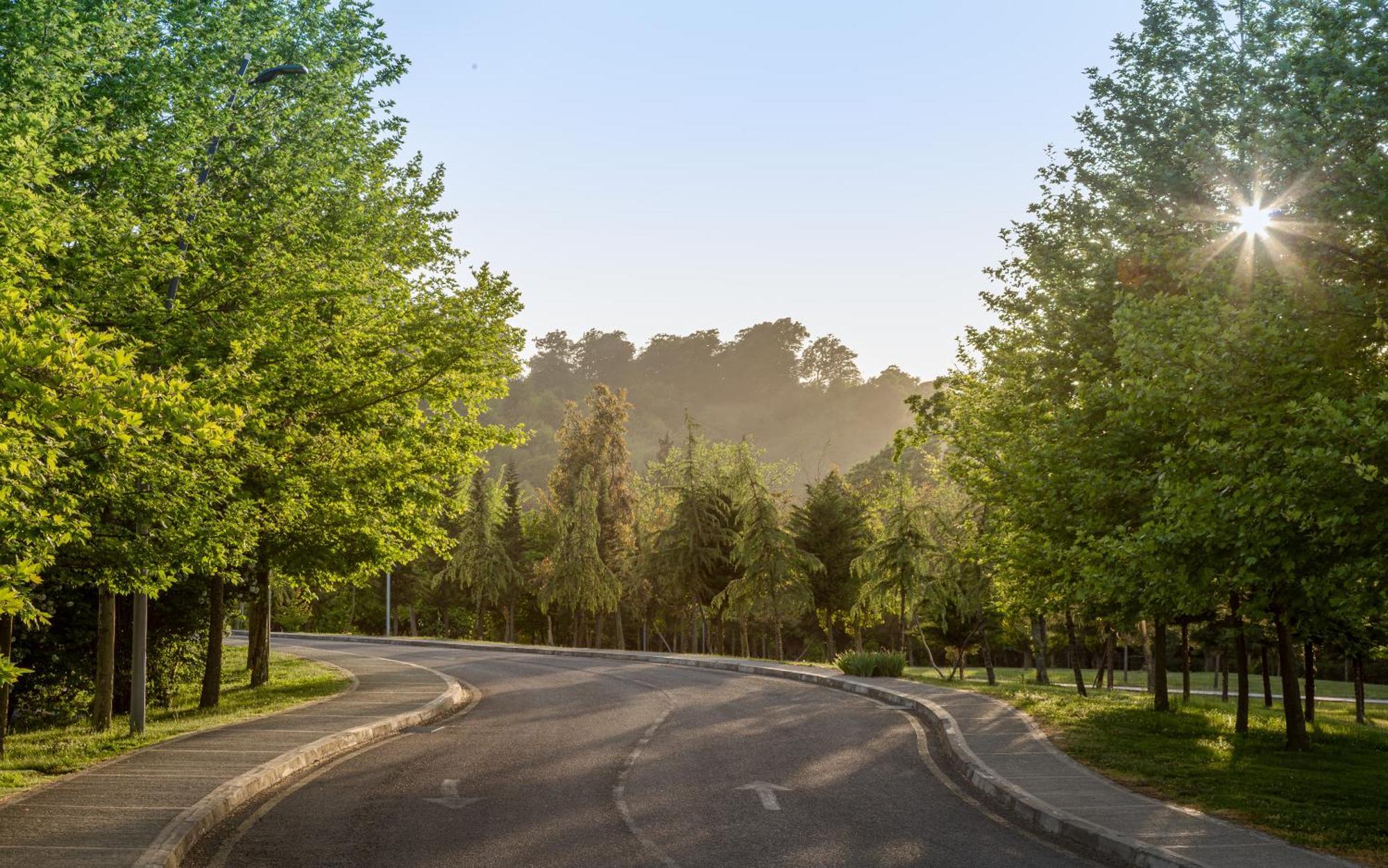 Lankaran Springs Wellness Resort Exterior photo The Avenue of Honour